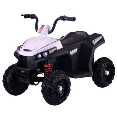  RiverToys T111TT -    