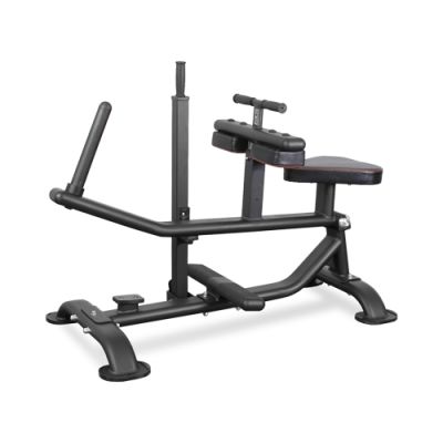   Bronze Gym PL-1719 -    