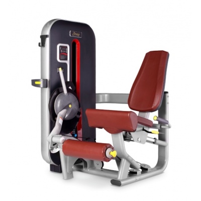  BRONZE GYM MT-014_C -    