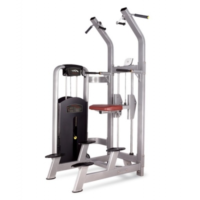  BRONZE GYM MV-008_C -    