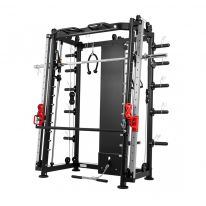Мультистанция DFC Powergym D822