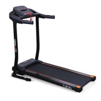   Carbon Fitness T306