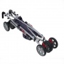 -     Observer Excel Elise Travel Buggy