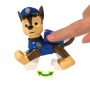   Paw Patrol    