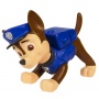   Paw Patrol   6  