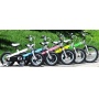   Royal Baby Buttons Alloy