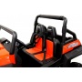     / RiverToys Buggy
