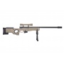    Targ AWP