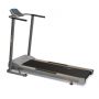    AppleGate T10