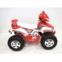   RiverToys JY20A8