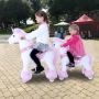  Ponycycle Medium  (4042)