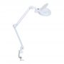 -   - 9001LED (9001LED)